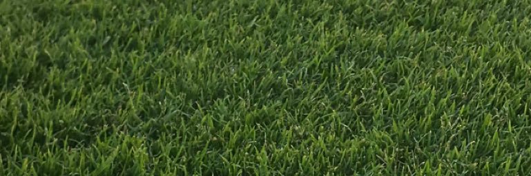 abcdef1407's profile banner image