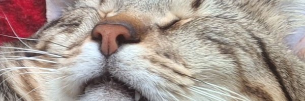 yaowrou Profile Banner