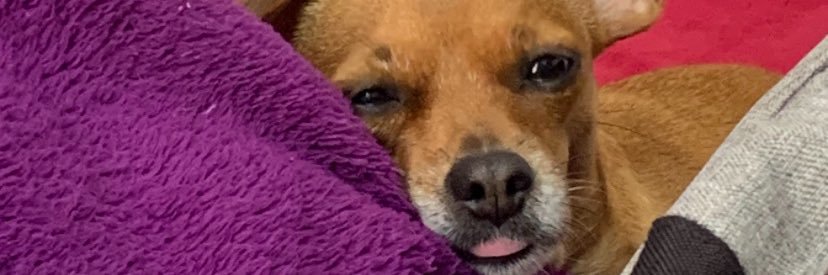 saradfb__'s profile banner image