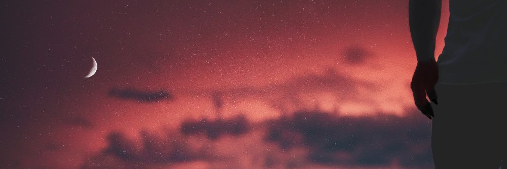 BarkDango's profile banner image