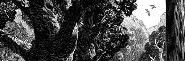 starryjeongyeon Profile Banner