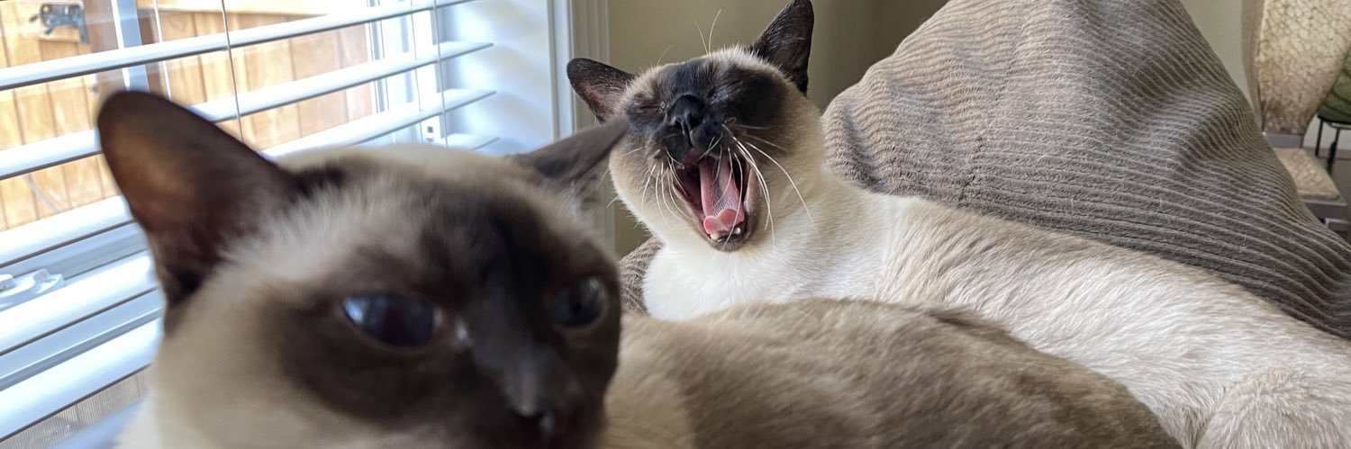 Fenn4Him's profile banner image