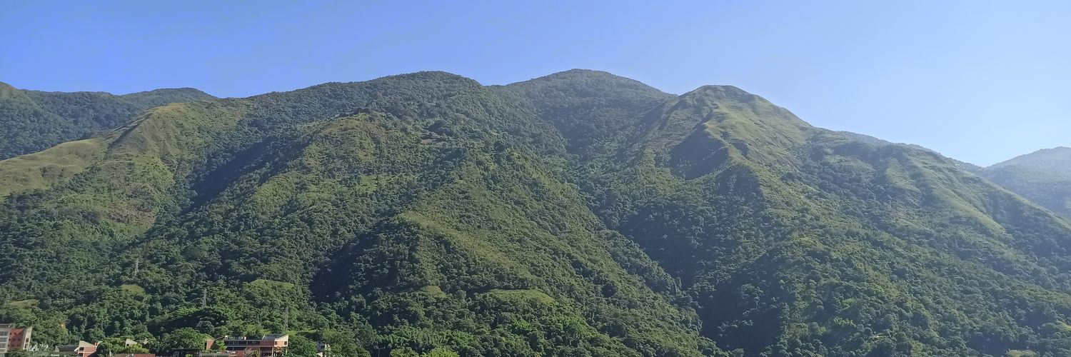 NyBn's profile banner image