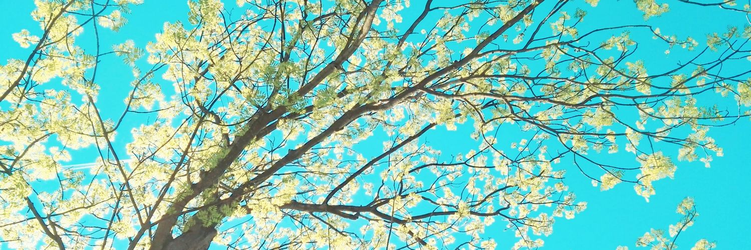 Fabs_St's profile banner image