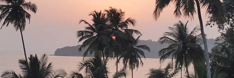bobbimair's profile banner image