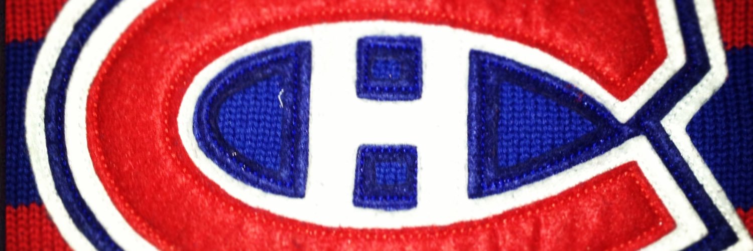 sprungrobin's profile banner image