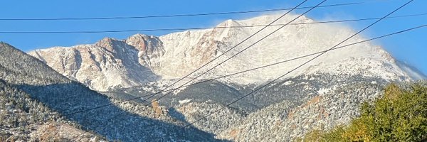 CurvyLadyProbs Profile Banner