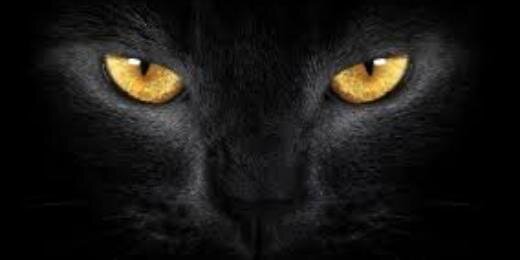 como_miro's profile banner image