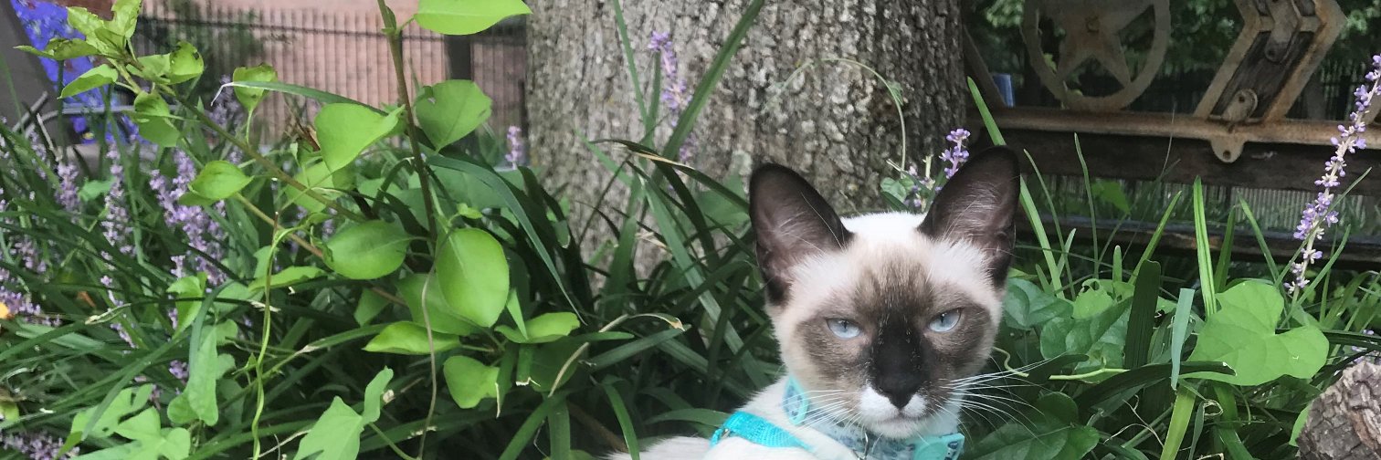 GabbyDyer's profile banner image