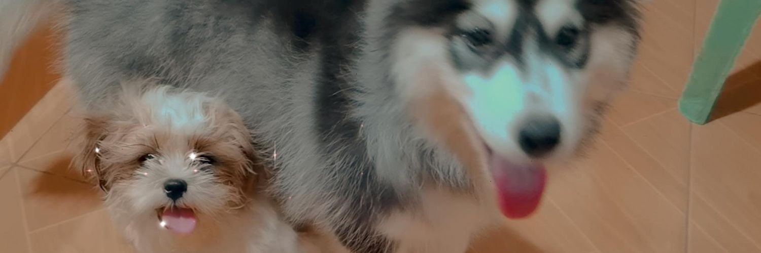 alunsinaa's profile banner image