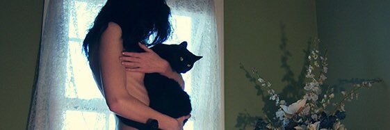 IPeralez's profile banner image