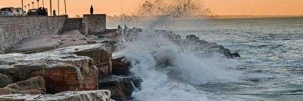 Trevi88Mario Profile Banner