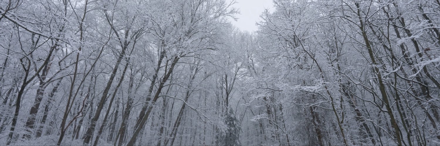 jaypegging's profile banner image