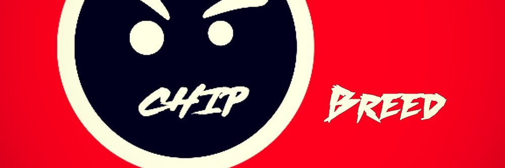 1skydon's profile banner image
