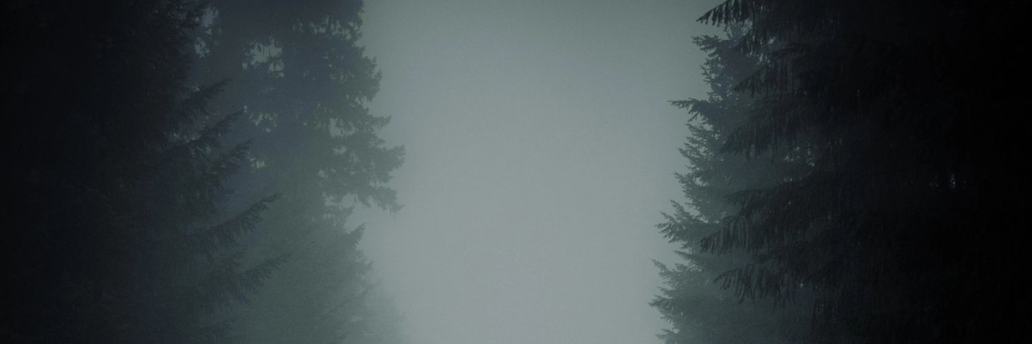 Talgi_desu's profile banner image
