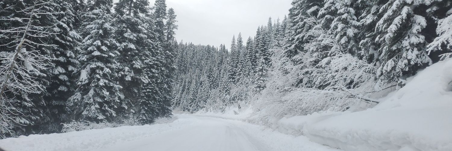 ColePls's profile banner image