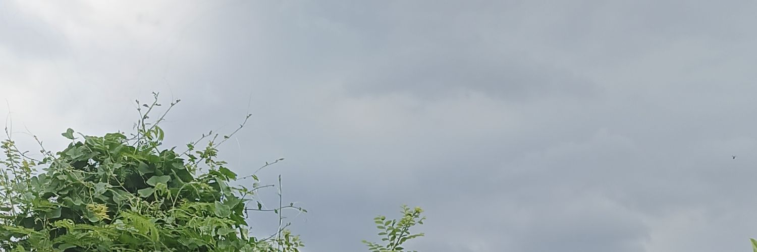 Zensu banner