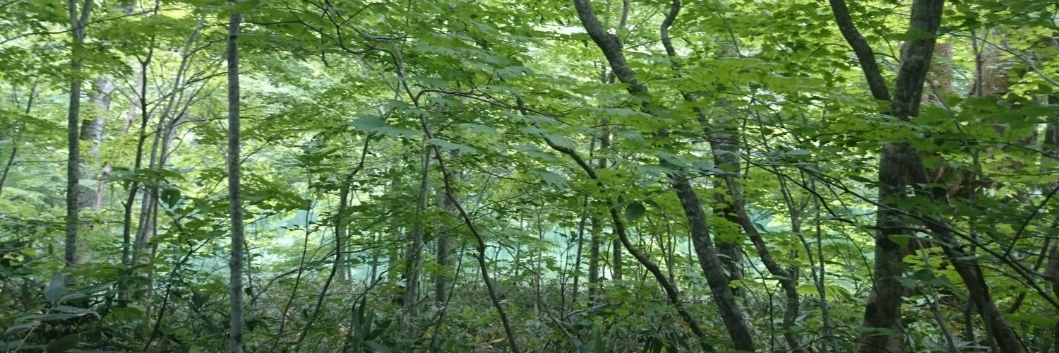 Ryo_Akatsuki's profile banner image