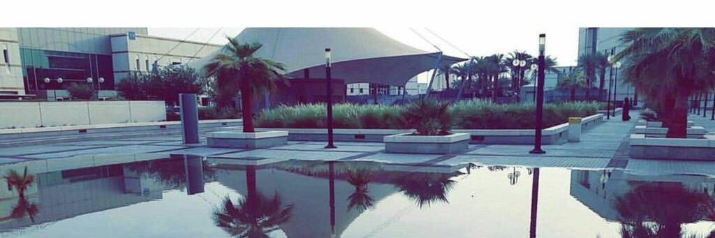 تحلطم كليه التربيه banner