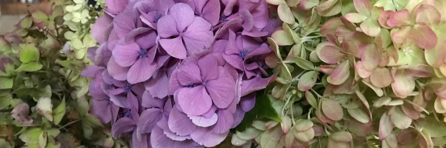 timalymorlins's profile banner image