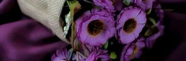 🌷sa 🌷 banner