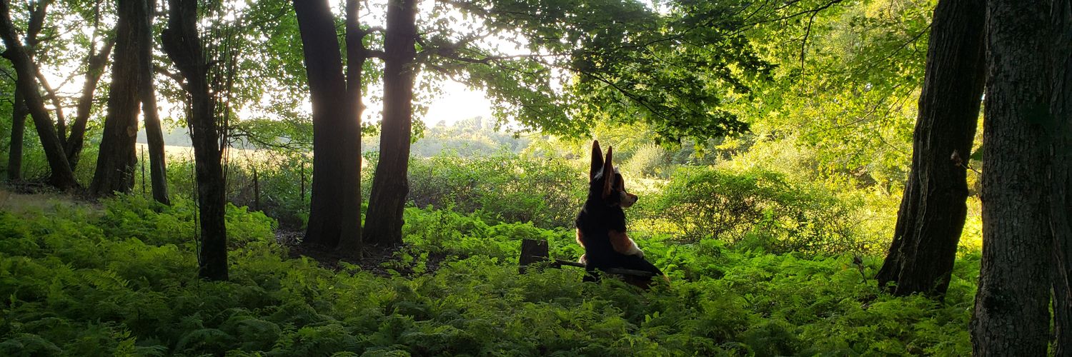 Brambles n’ Seuss 🎨 banner