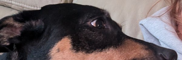 EM_Ray79 Profile Banner