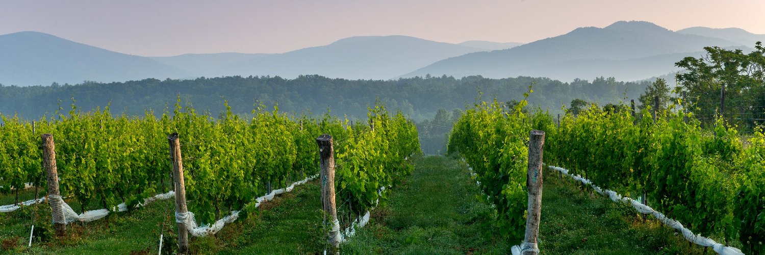 visitCville's profile banner image