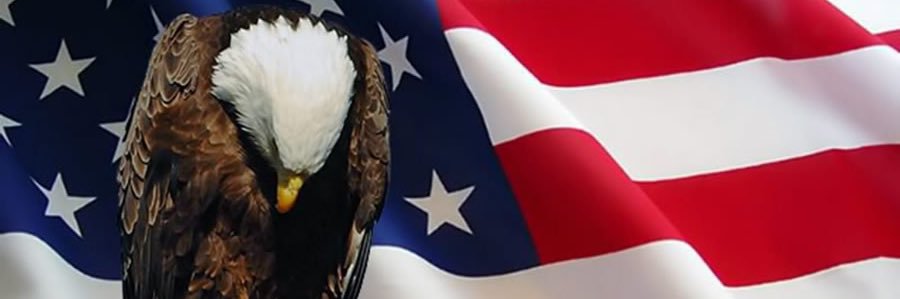 dogon42's profile banner image