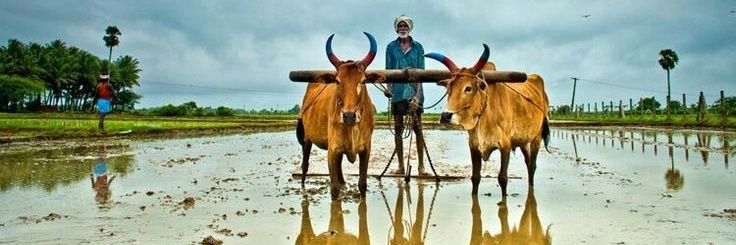 tweetparvinder's profile banner image