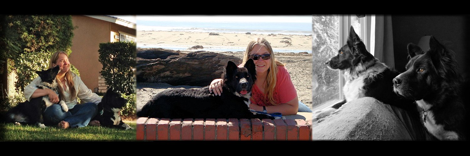 CindyB1017's profile banner image