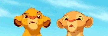 Simba banner