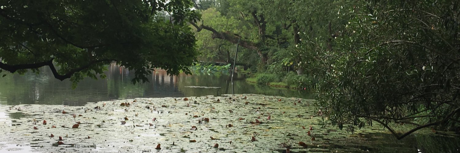 Steve Walker - steve-walker@bsky.social banner