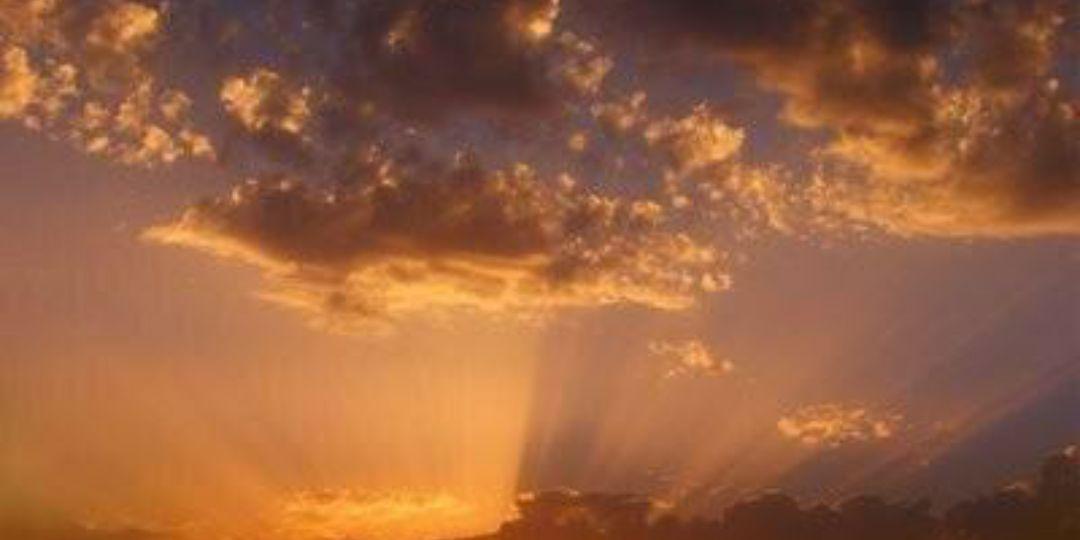 amnah_hmd's profile banner image