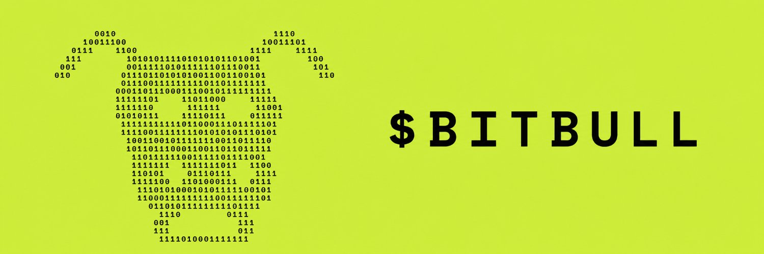 bitbull_sol's profile banner image
