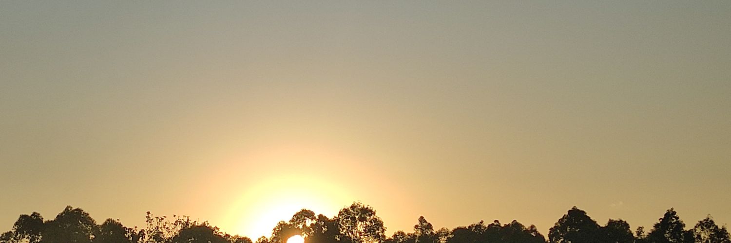 kadddyy's profile banner image