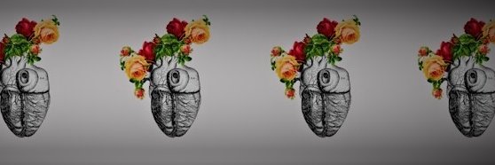 Ashlyn_her's profile banner image