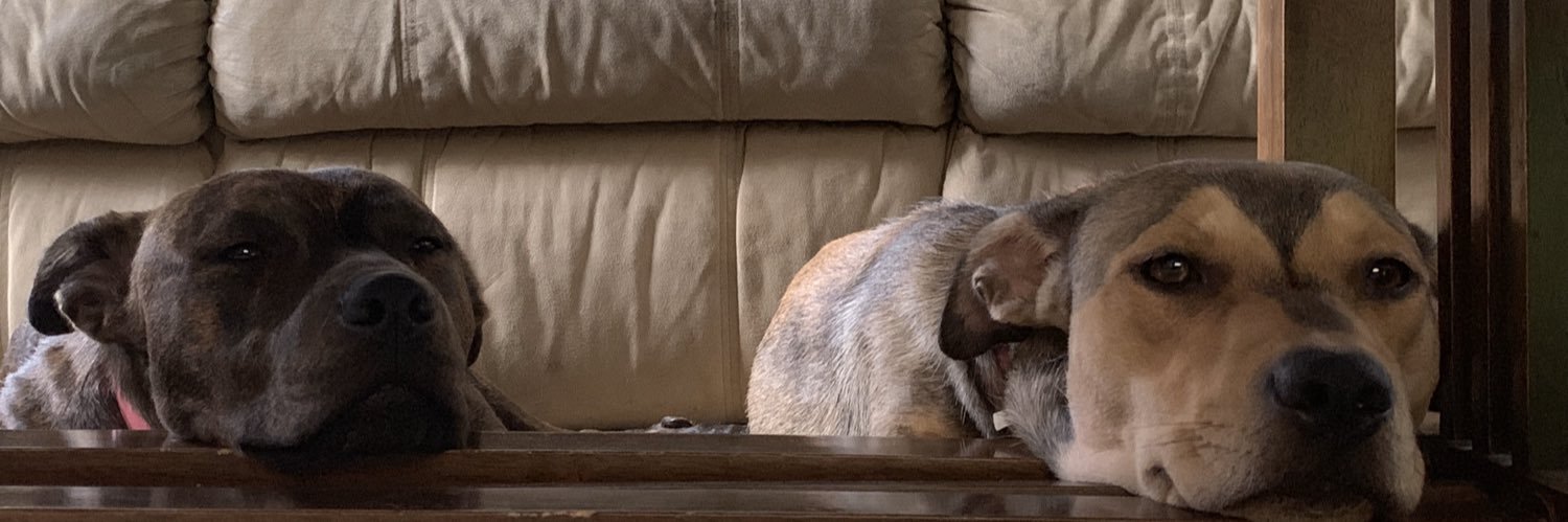 Wolfie banner