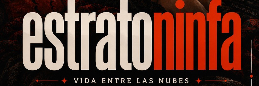 estratoninfa's profile banner image