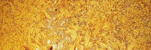 BecomingCritter Profile Banner