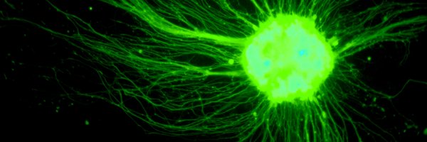 theJACLab Profile Banner