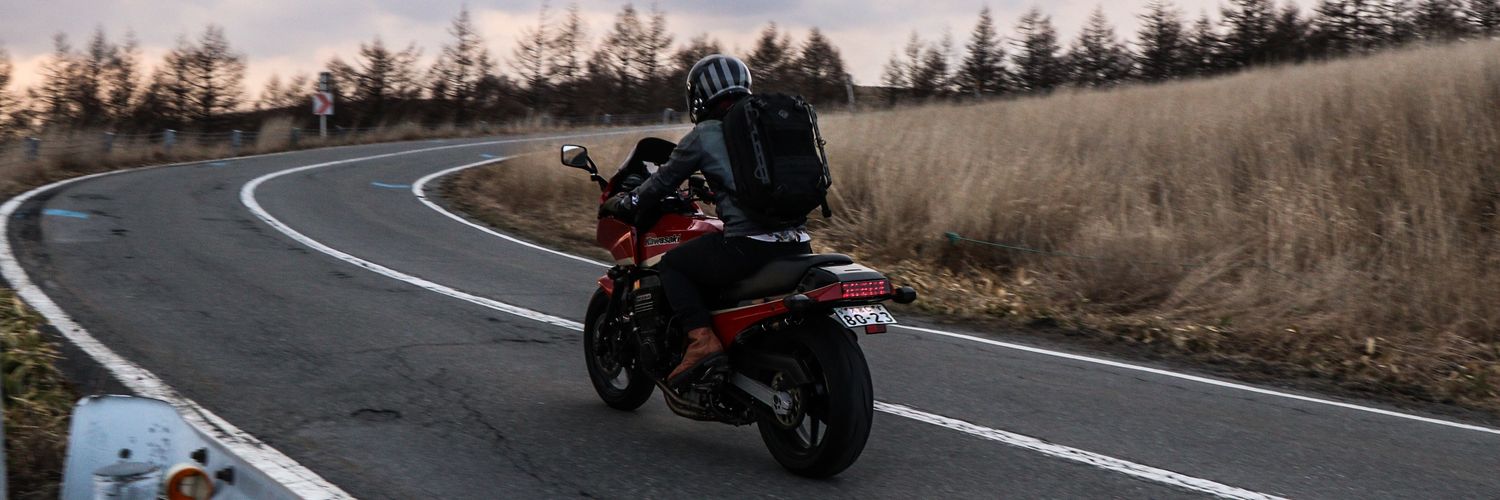 がんちゃん banner