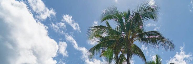 tadiavo's profile banner image