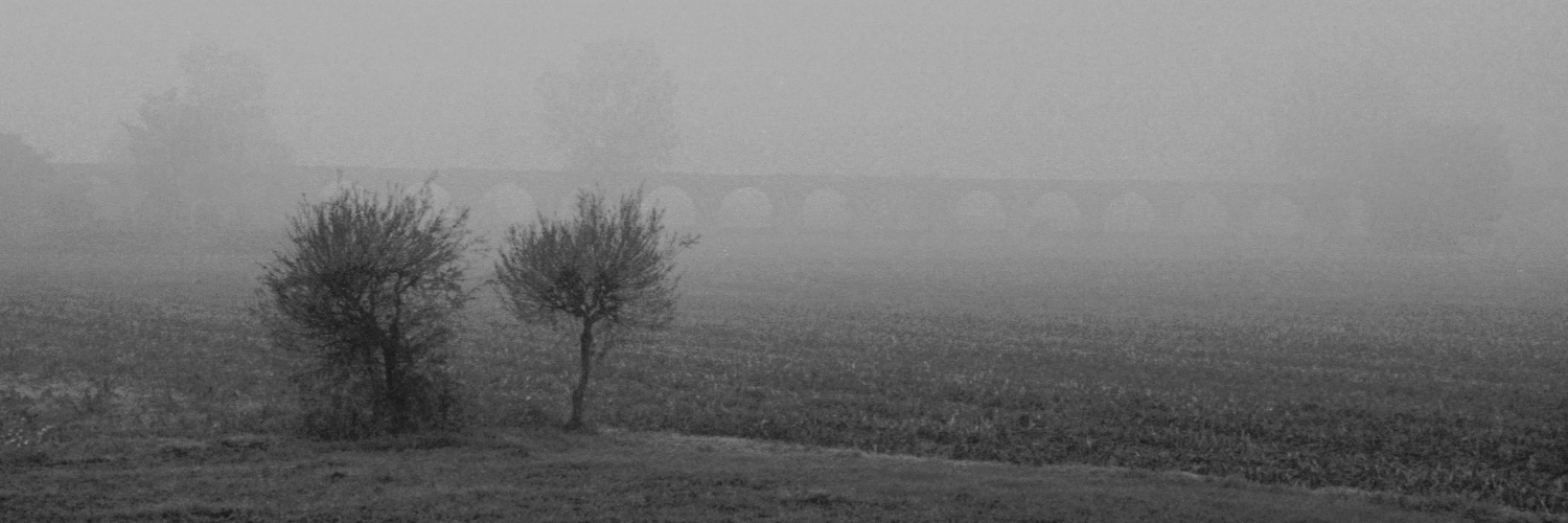 Paola Sgadò @sgadop@fediscience.org banner