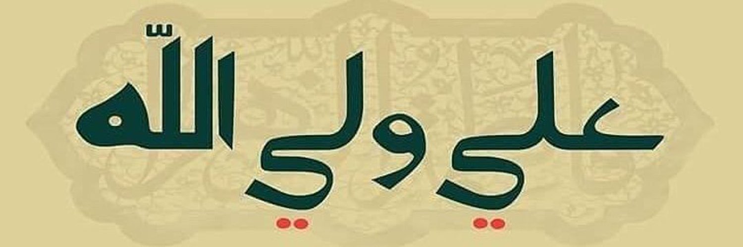 الضامن 313 banner