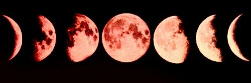 RedMoonCreed's profile banner image