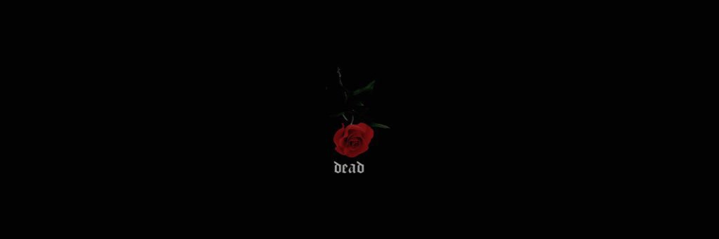 Qu___Kr's profile banner image