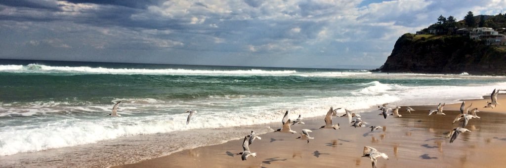 Tanja Falkner banner