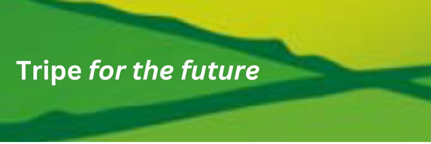 Tripe Marketing Board 💚 banner