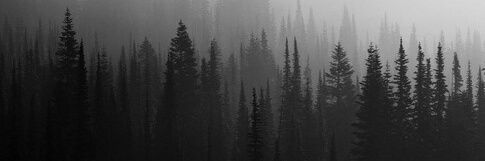 _sublime_'s profile banner image